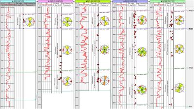 Influencing Factor Analysis on the Fractured Tight Sandstone Gas Reservoir Characteristics: A Case Study of Bozi 3 Gas Reservoir in the Tarim Basin